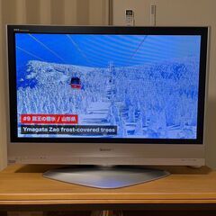 【現役で使用】テレビ 42インチ VIERA TH-42PX60 ビエラの画像