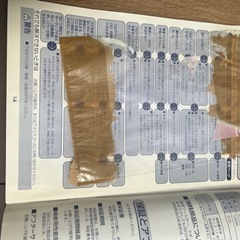 掃除機　コンパクトサイクロンクリーナー　アイリスオーヤマの画像