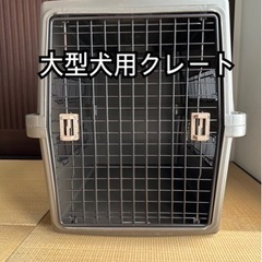 バリケンネルの中古が安い！激安で譲ります・無料であげます(5