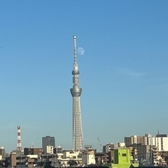ビリヤードを一緒に練習しませんか？