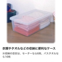 衣装ケース/アイリスオーヤマ/元値1800円の画像