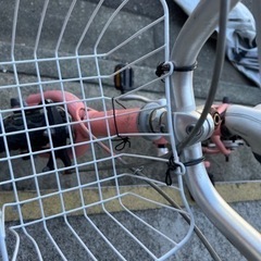 ルイガノ　12インチ　中古　女の子仕様の画像
