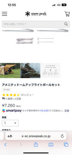 残り12時間で終了！キャンプシーズンに?スノーピーク　テント　エントリーパック　マットセット
