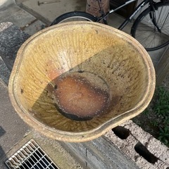 大きなボウルの画像