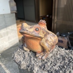 セラミクカエルの画像