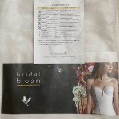 【値下げしました】ブライダルインナーの画像
