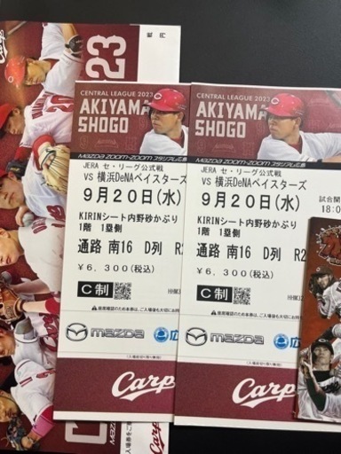 ⚫️値下げ⚫️9/20水　広島カープ✖️横浜DeNAペアチケット砂かぶり席