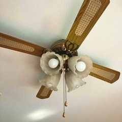 【DAIKO】シーリングファンの画像