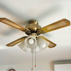 【DAIKO】シーリングファン