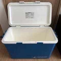 【ジャンク品】クーラーボックスの画像