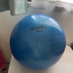 IGNIO バランスボール  55cm