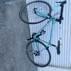 bianchi brava