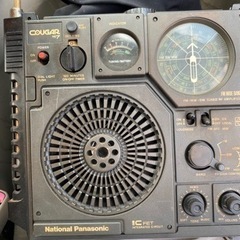 cougar7