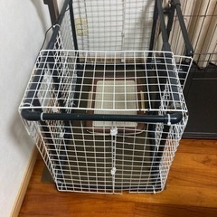 柴犬サイズ　ゲージの画像