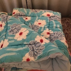 掛け布団　お引き取りのみ の画像