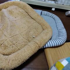 犬用服6号男の子　ケージ　バリカン等での画像