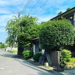 造園作業サポートの画像