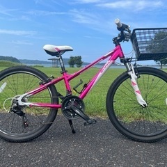 子ども用自転車　HARO FLIGHTLINE24インチ