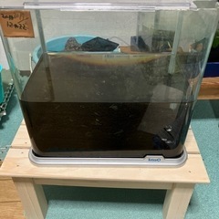 水槽30cm土台セット！取り引き完了