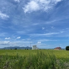 ソロキャンプ仲間募集！！ - その他