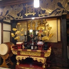 東京都港区⭐︎妙福寺⭐︎お寺ヨガ⭐︎夜ヨガの画像