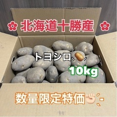 十勝川西産　じゃがいも　10キロ