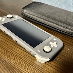 Nintendo switch lite スイッチライト　グレー　ケース付きの画像