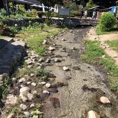 仲間になってくれる方いませんか？ - 甲府市