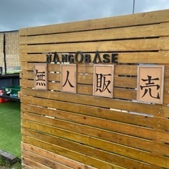 【無人販売】メダカ無人販売　の画像