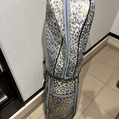 レディースゴルフクラブの画像