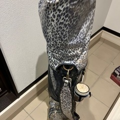 レディースゴルフクラブの画像