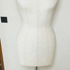 トルソー　マネキン　女性・レディース
