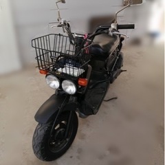 ホンダ　ズーマー