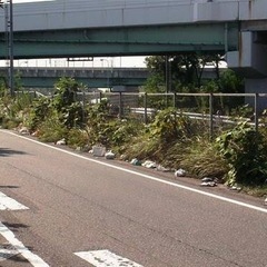 町内清掃いたします。