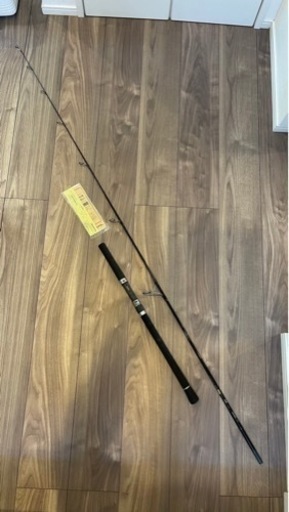 ダイワ19ヴァデルC73MLS・Y