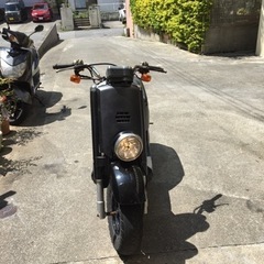 BOX 50cc