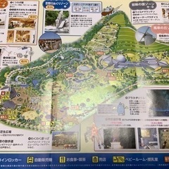 出店者募集‼️ハウスダイエット・フリマ