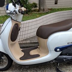 ジョルノAF７７　原付50cc　国内2016年モデルの画像
