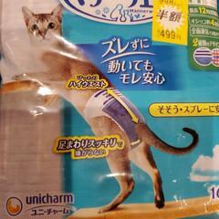愛猫ちゃんにの画像