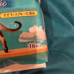 愛猫ちゃんにの画像