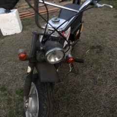 HONDA モンキーZ50 カスタムボアアップ済 黄色ナンバー ...