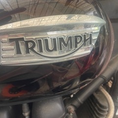 トライアンフスピードマスター 引き取り限定価格の画像
