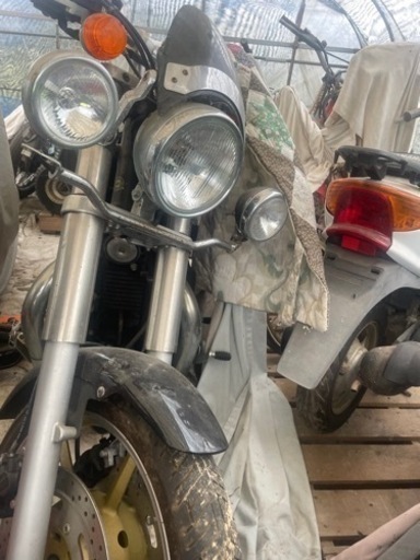 トライアンフスピードマスター 引き取り限定価格