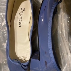 レペット　ブルーの画像