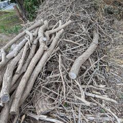 暖炉の薪やキャンプ 枝など