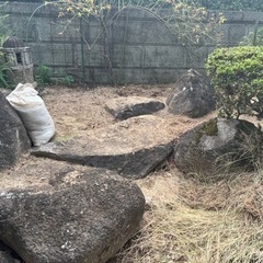 庭石②お譲り先が決まりました