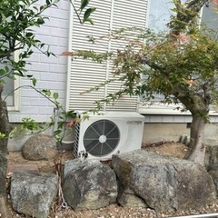 庭石④newの画像