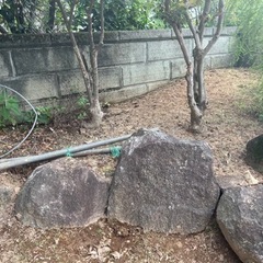 庭石④newの画像