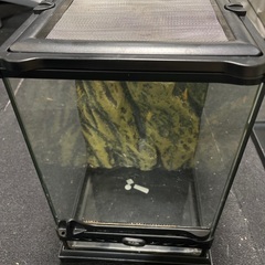 エキゾテラ　グラステラリウムナノの画像