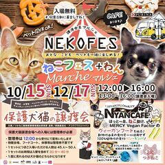 ねこフェス+わん マルシェ秋２０２３